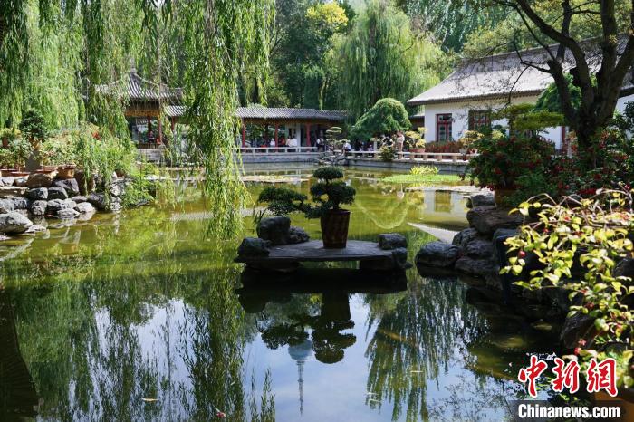 圖為西寧園林植物園秋日風(fēng)景別有韻味?！●R銘言 攝