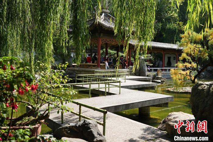 圖為西寧園林植物園秋日風(fēng)景別有韻味?！●R銘言 攝