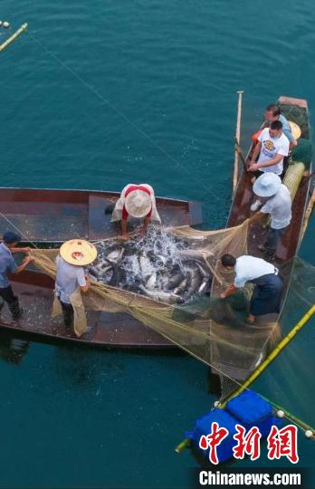 捕魚現(xiàn)場?！≈鬓k方供圖