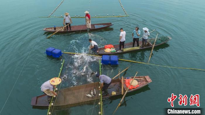 捕魚現(xiàn)場?！≈鬓k方供圖
