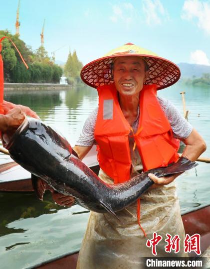 工作人員展示捕撈成果?！≈鬓k方供圖