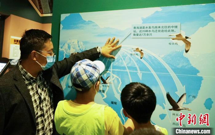 圖為小朋友在青海西寧湟水國家濕地公園科普館內(nèi)參觀學(xué)習(xí)?！●R銘言 攝