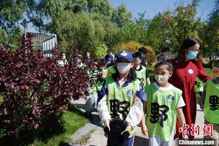 圖為小朋友在青海西寧湟水國家濕地公園內(nèi)認(rèn)識植物?！●R銘言 攝