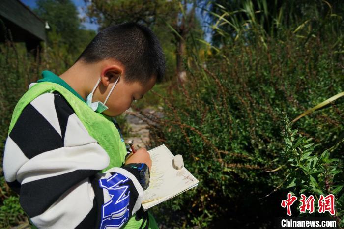 圖為小朋友在青海西寧湟水國家濕地公園內(nèi)認(rèn)識植物并進(jìn)行繪畫?！●R銘言 攝