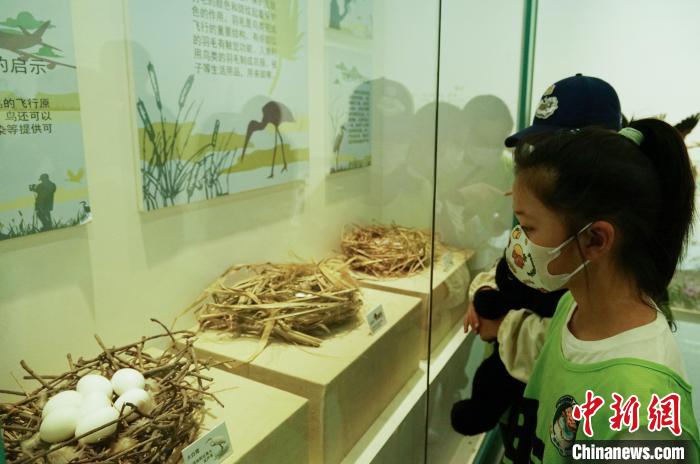 圖為小朋友在青海西寧湟水國家濕地公園科普館內(nèi)參觀學(xué)習(xí)?！●R銘言 攝