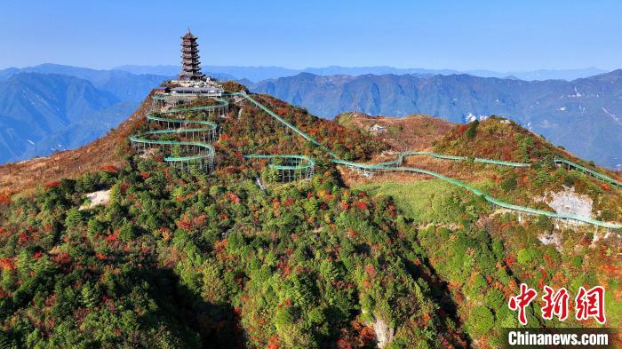 巴山大峽谷彩林迎來(lái)最佳觀賞期?！∫κ?攝