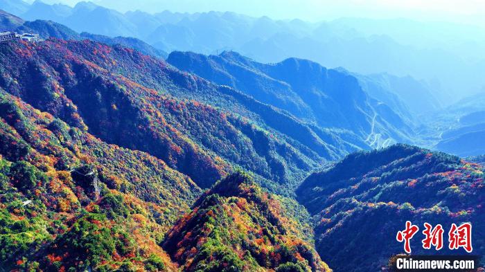 巴山大峽谷彩林迎來(lái)最佳觀賞期。　張平 攝