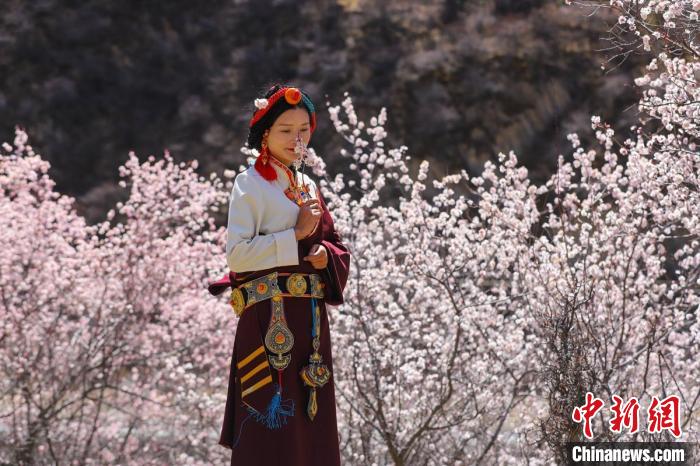白玉縣河坡鎮(zhèn)桃花林間身穿民族服飾的藏族女孩?！“子袢诿?攝