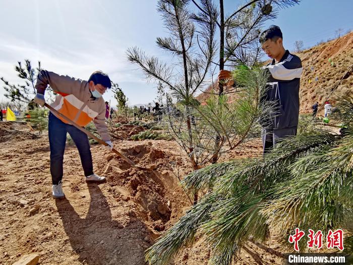圖為西寧市城東區(qū)義務(wù)植樹(shù)活動(dòng)現(xiàn)場(chǎng)?！?zhí)砀?攝