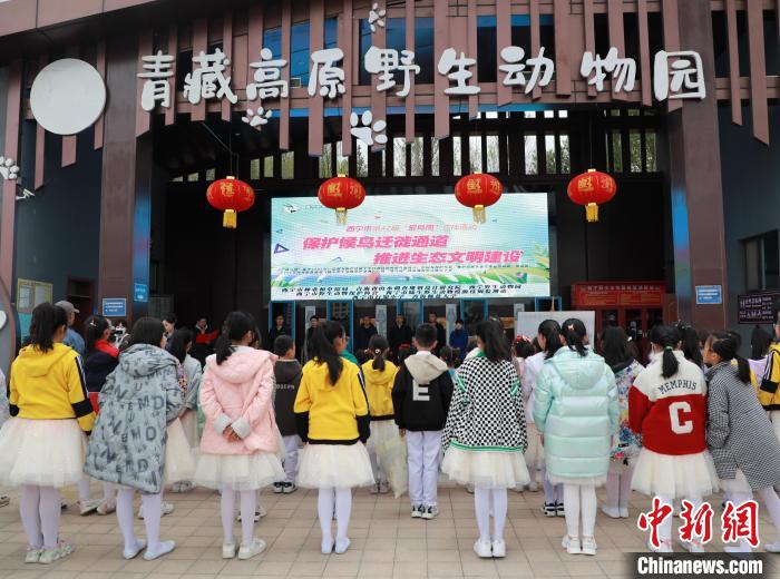 圖為青海省西寧市開展第42屆“愛鳥周”科普宣傳活動?！●R銘言 攝
