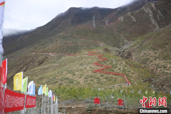 圖為拉薩南北山綠化工程拉薩曲水縣才納村5號(hào)片區(qū)?！∝暣_ 攝