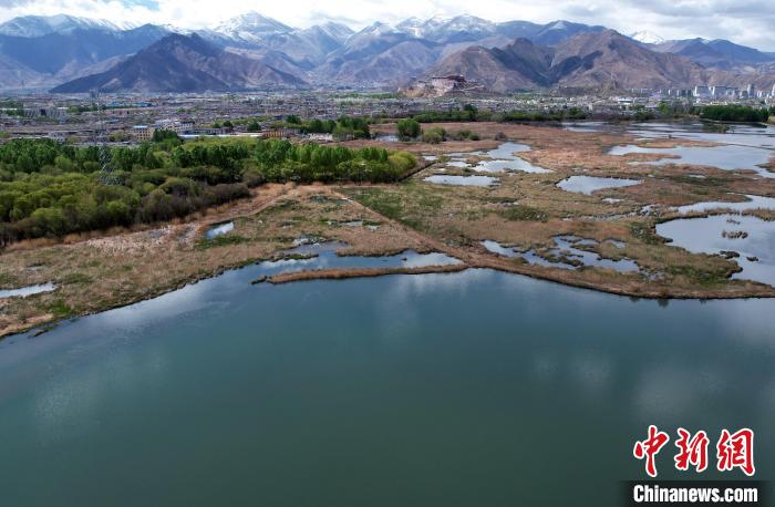 圖為拉薩拉魯濕地。(無人機照片) 李林 攝