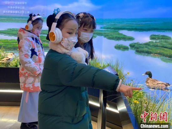 圖為學(xué)生在西寧市第一中學(xué)濕地科普宣教館內(nèi)參觀?！±罱瓕?攝