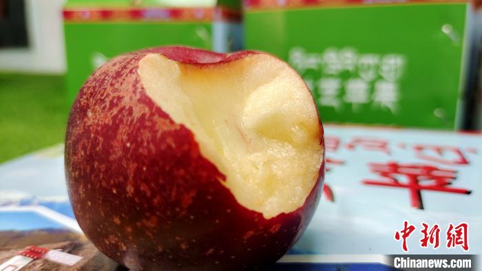 圖為通麥村特色甜心蘋果。　貢桑拉姆 攝