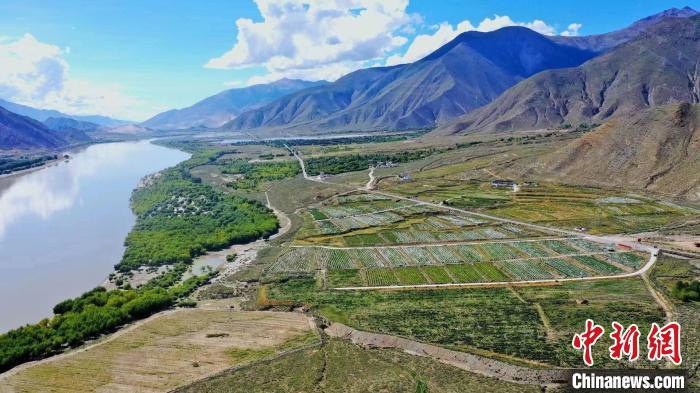 圖為桑日縣葡萄種植基地。　山南桑日縣委宣傳部提供