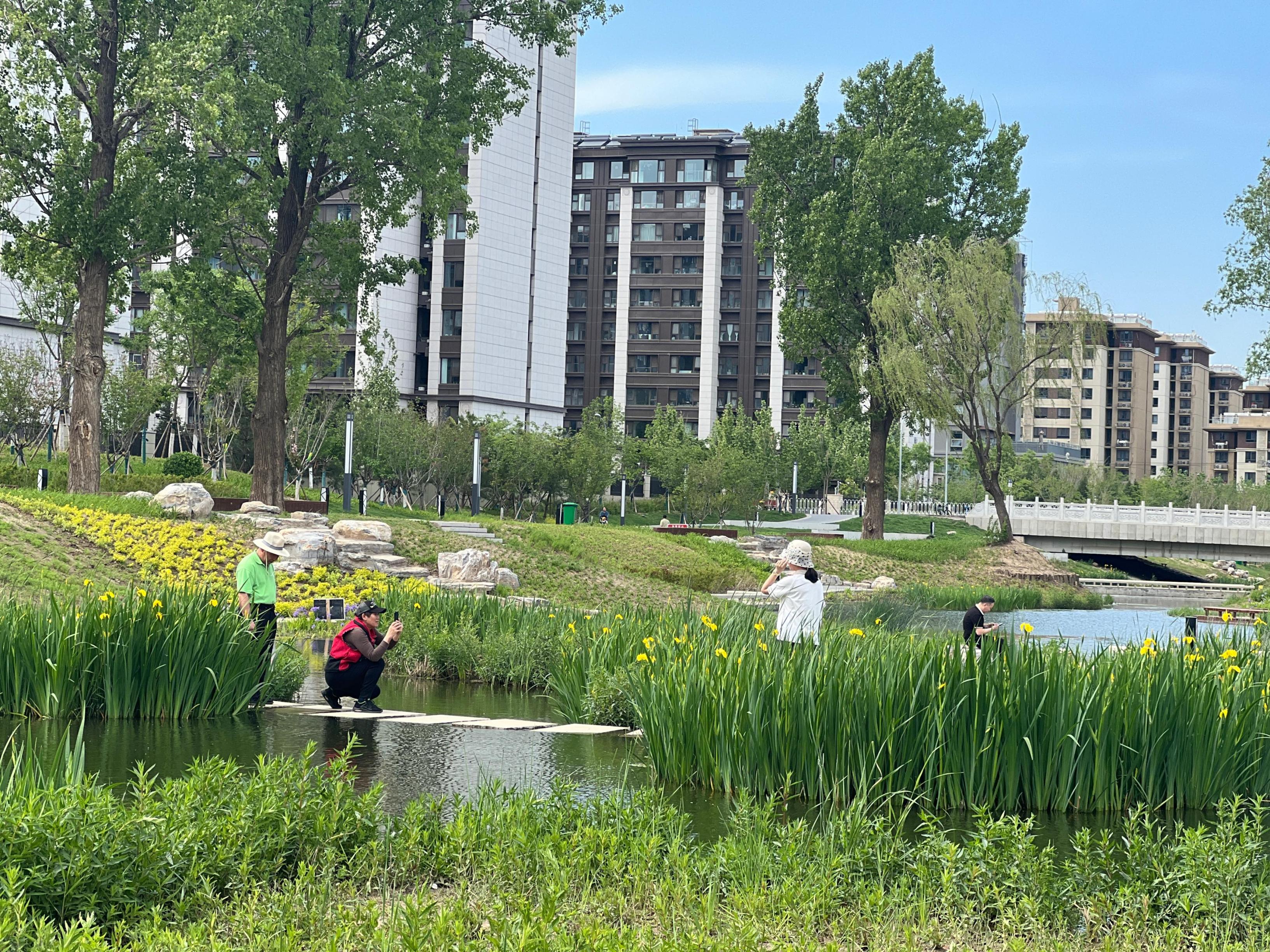 五一渠生態(tài)濱河公園內(nèi)，市民正在拍照留念。人民網(wǎng) 歐陽(yáng)易佳攝