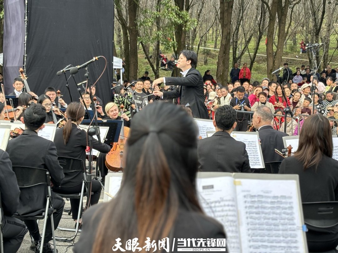 貴陽路邊音樂會·貴安櫻花園專場交響樂現(xiàn)場。丁亞 文丹 攝