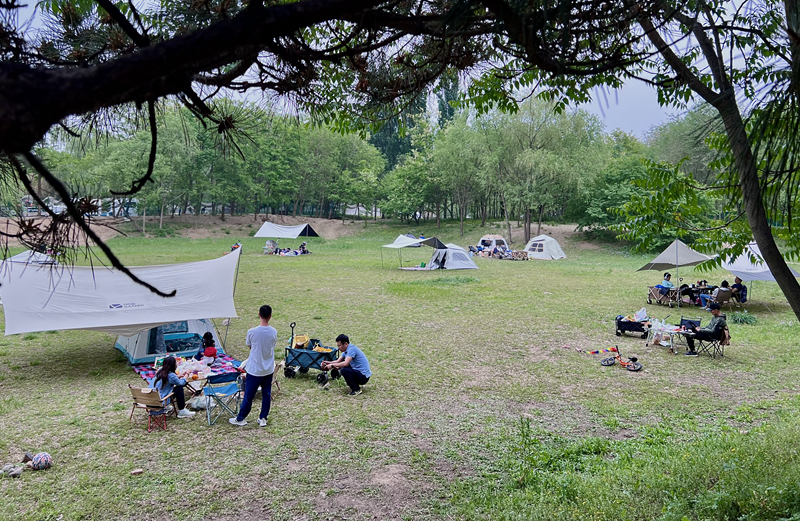 “自駕+露營”等多元模式受熱捧。人民網(wǎng)記者 王連香攝