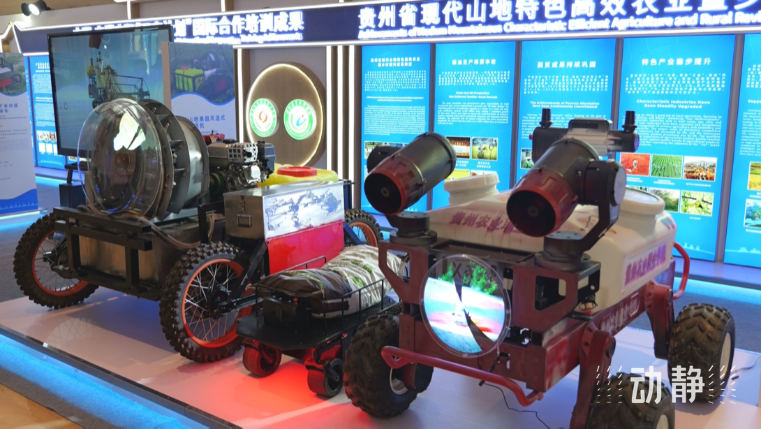 展示成果分享經(jīng)驗(yàn)，中國—東盟教育交流周深化合作共創(chuàng)未來！