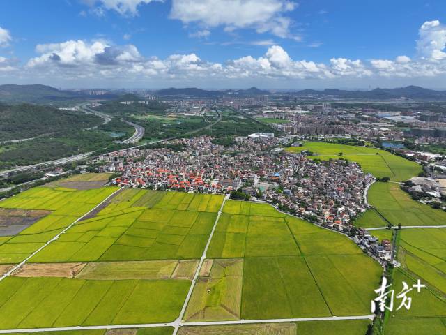 崖口村。