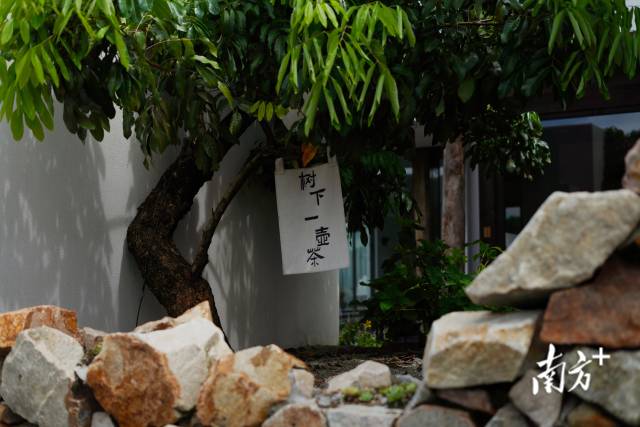 崖口村內(nèi)的文藝民宿。