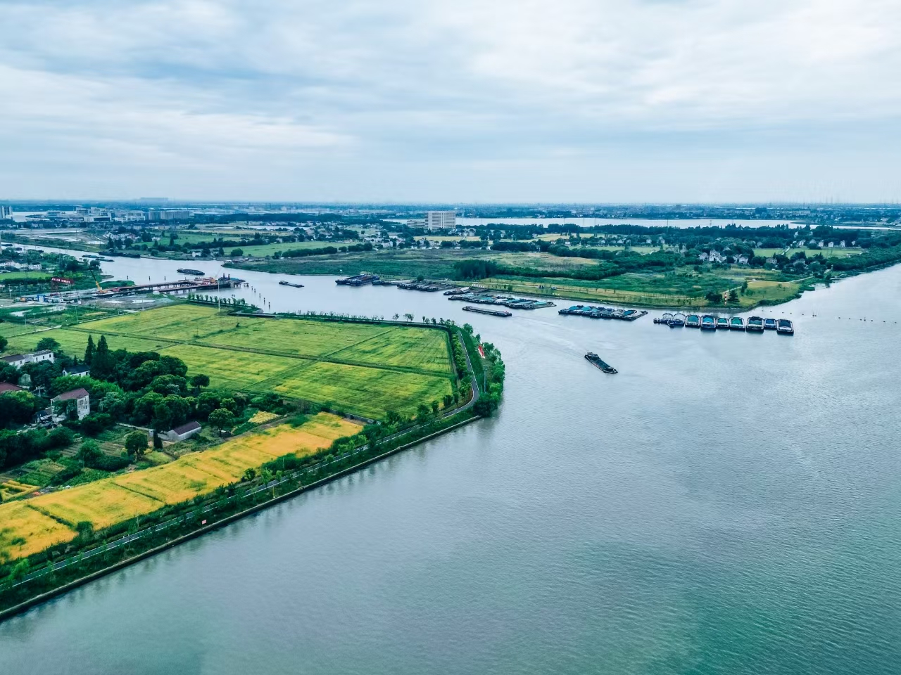 太浦河沿岸好風(fēng)光。吳橫軒攝