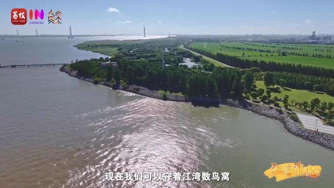 “縣”在起筆 青綠繪江山 | 江灣沐曉：褪去“銹色”走“金線”，繡出生態(tài)與產(chǎn)業(yè)“雙面錦”