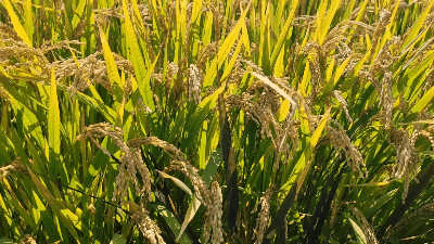 QQ圖片20230920131628.gif