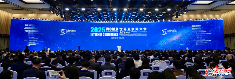 透過烏鎮(zhèn)看世界，攜手走向數(shù)智未來——來自2025年世界互聯(lián)網(wǎng)大會烏鎮(zhèn)峰會的觀察