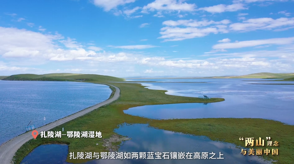 “兩山”理念與美麗中國(guó)丨濕地與候鳥(niǎo)，一場(chǎng)歲歲年年的相守