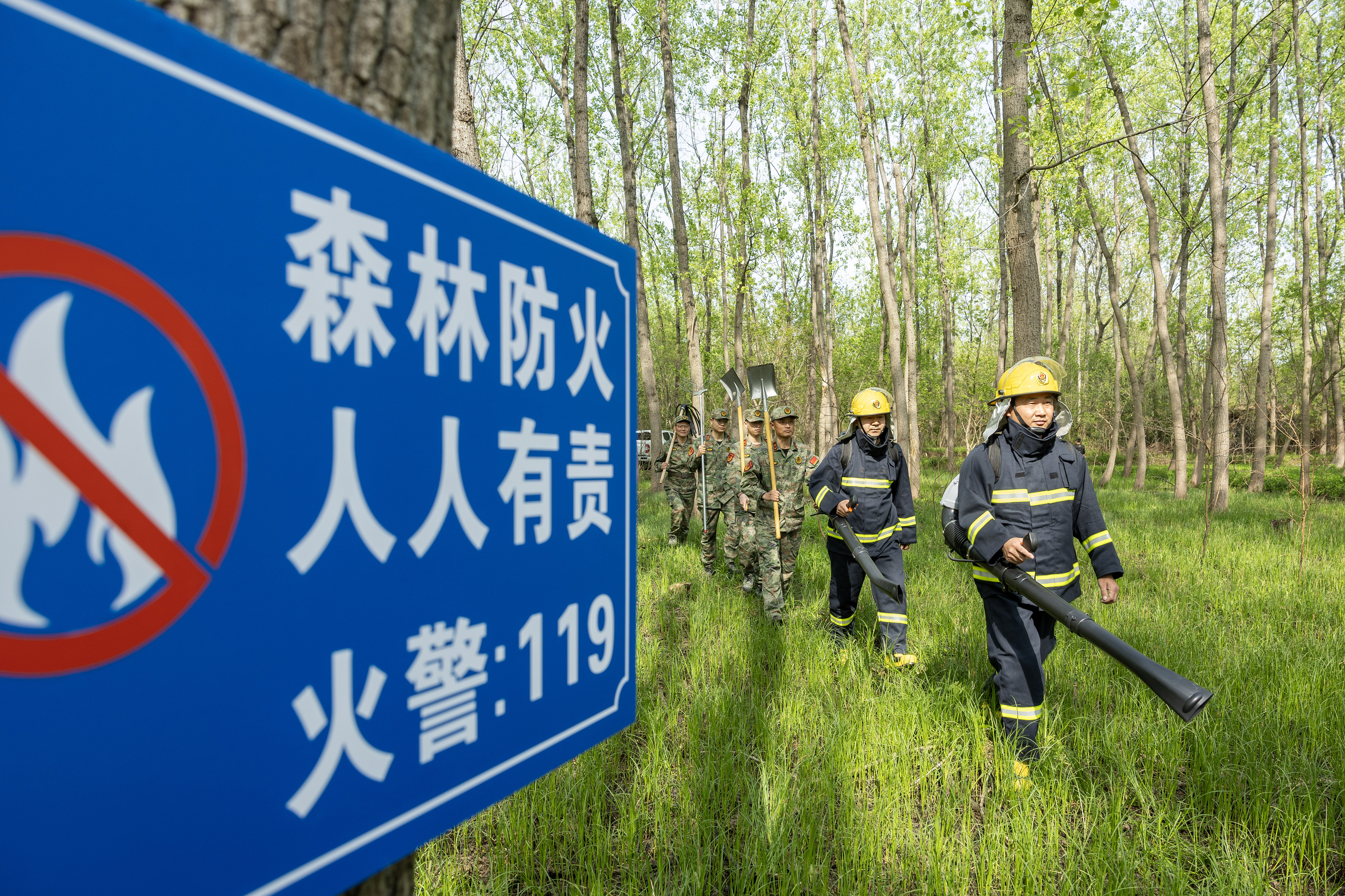 2024年4月9日，合肥市大房郢水庫水源保護(hù)地廬陽經(jīng)濟(jì)開發(fā)區(qū)段，基干民兵正在林間巡查火災(zāi)隱患。