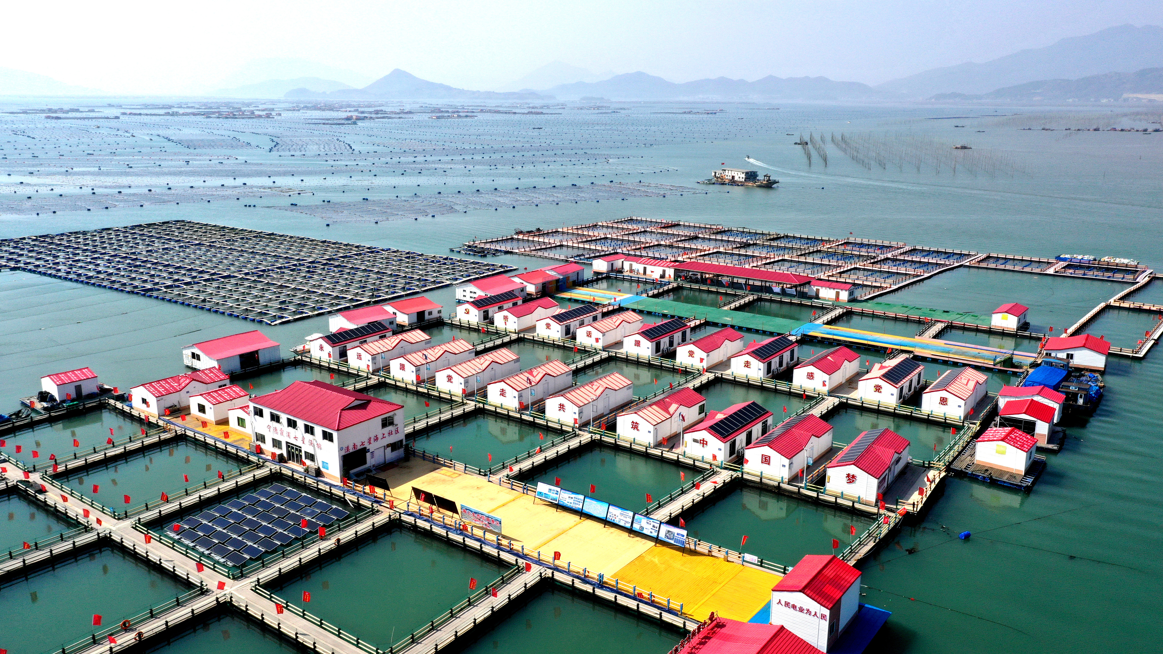 2024年3月20日，福建省寧德市，霞浦縣溪南鎮(zhèn)七星村漁排養(yǎng)殖示范區(qū)，漁民駕駛養(yǎng)殖船進(jìn)行海參養(yǎng)殖作業(yè)。