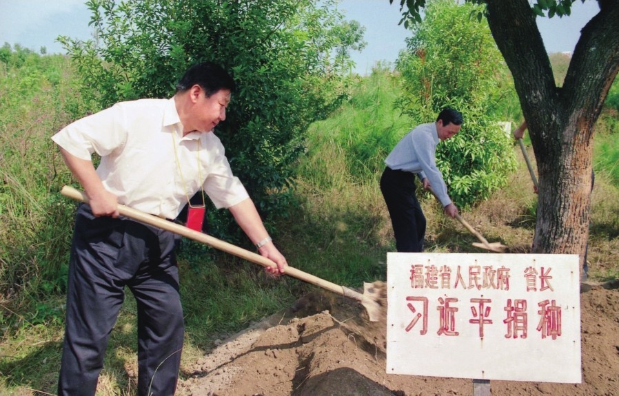 2001年10月，習近平在龍巖市長汀縣調(diào)研水土流失治理工作，在河田世紀生態(tài)園為樹培土。圖源：《習近平在福建（下）》