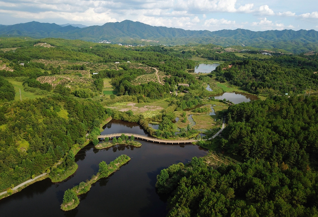 福建省龍巖市長汀縣的長汀汀江國家濕地公園景色（2020年7月28日攝，無人機照片）。新華社記者 魏培全 攝