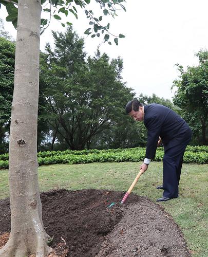 2012年12月7日至11日，習(xí)近平在廣東省考察工作。這是8日上午，習(xí)近平在深圳蓮花山公園種下一棵高山榕樹。新華社記者 蘭紅光 攝