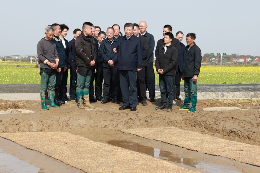 2024年3月18日至21日，中共中央總書記、國家主席、中央軍委主席習近平在湖南考察。這是19日下午，習近平在常德市鼎城區(qū)謝家鋪鎮(zhèn)港中坪村走進田間，察看秧苗培育和春耕備耕進展。新華社記者 王曄 攝