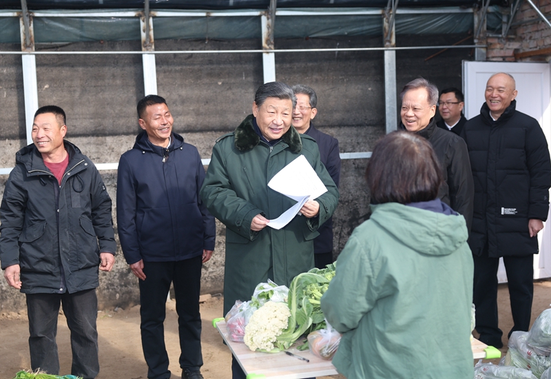 2024年2月1日，習近平總書記在天津市西青區(qū)辛口鎮(zhèn)第六埠村，走進大棚同菜農(nóng)親切交流。
