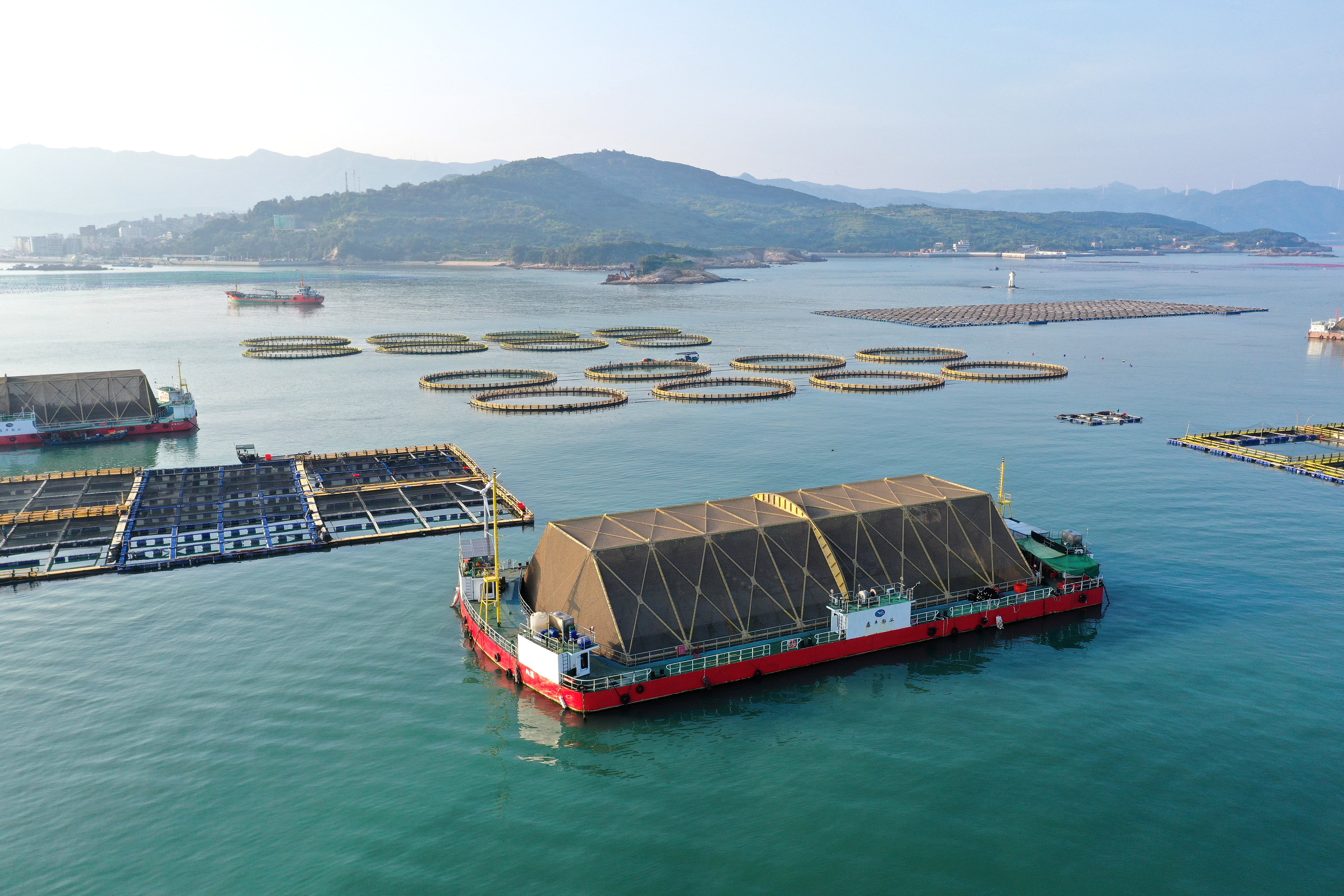 2024年9月10日拍攝的福建省福州市連江縣定海灣海域的現(xiàn)代化“海上糧倉”。