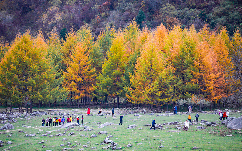 2023年10月27日，深秋時節(jié)的陜西秦嶺太子嶺漫山紅黃、色彩交織，進入最佳觀賞期。
