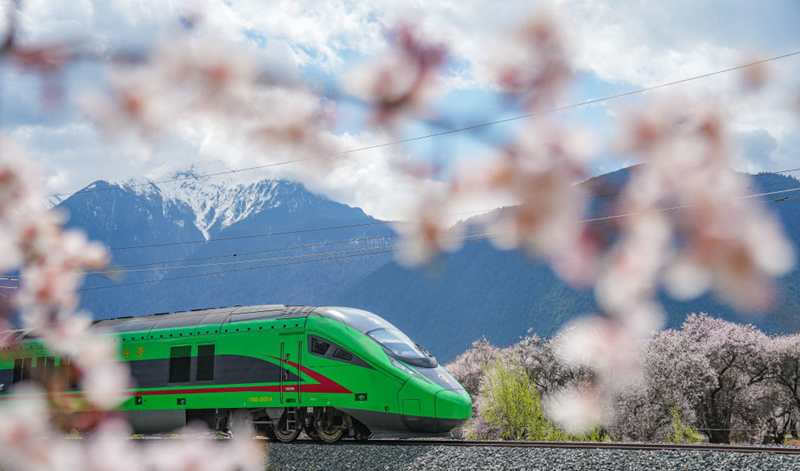 2025年4月2日，復(fù)興號列車穿行在拉林鐵路林芝段。
