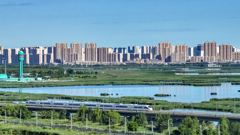 2025年8月17日，一列動車組列車駛過大慶東站。