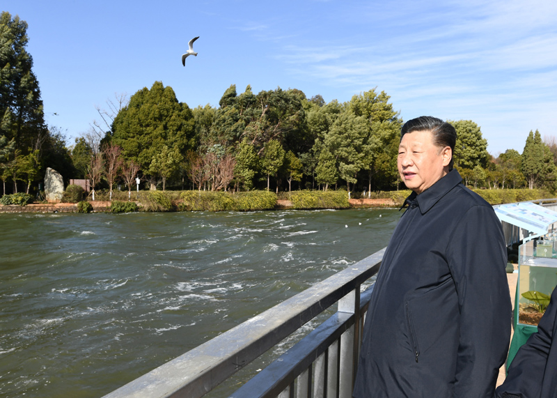 2020年1月20日下午，習(xí)近平總書記在云南昆明滇池星海半島生態(tài)濕地考察調(diào)研。