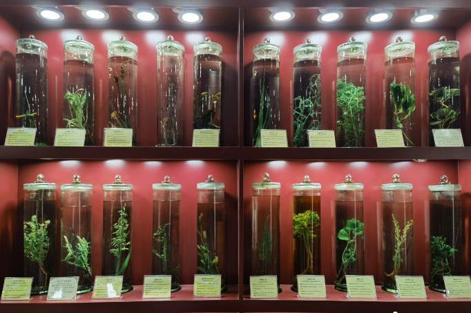 圖為藏藥藥材標(biāo)本。??張海? ?.jpg