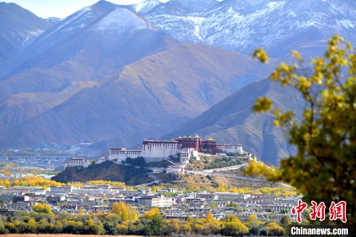 10月24日，雪山、布達拉宮和秋色組成“風景畫”?！〗w波 攝