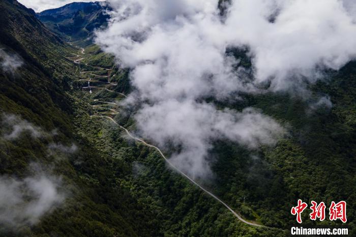 西藏山南勒布溝景區(qū)的盤山公路被云霧環(huán)繞?！〗w波 攝
