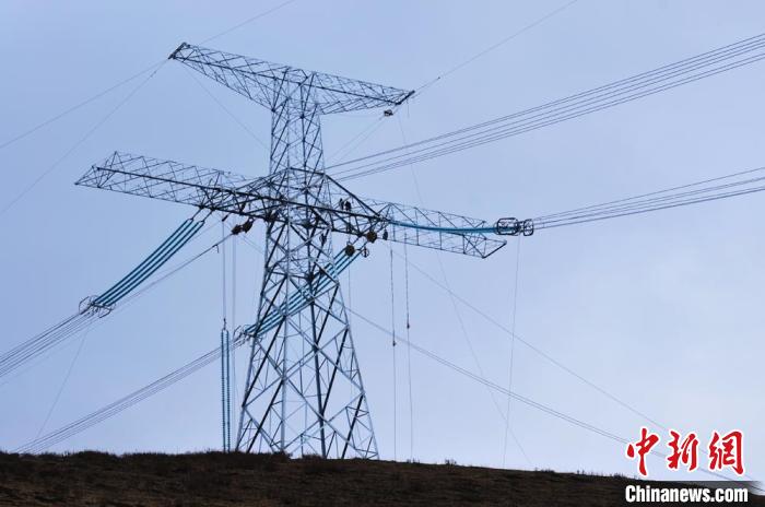 高原藏區(qū)電力線路建設(shè)者：高寒缺氧、扎刺掛彩是常事
