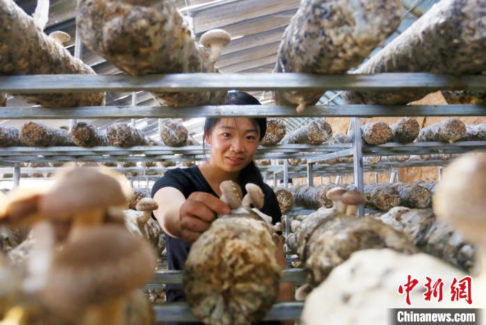 甘肅天?！跋愎椒蚱蕖毕律饺氪ǎ捍笈锢镉板X(qián)景”