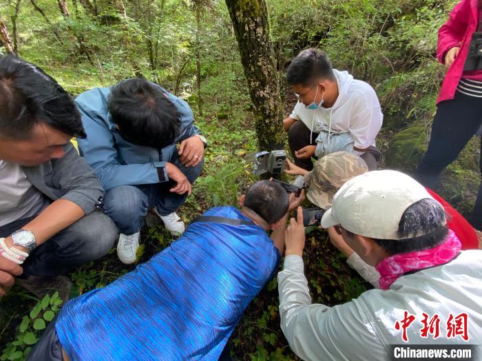 圖為訪客正在查看紅外相機(jī)中的拍攝畫(huà)面。　李江寧 攝