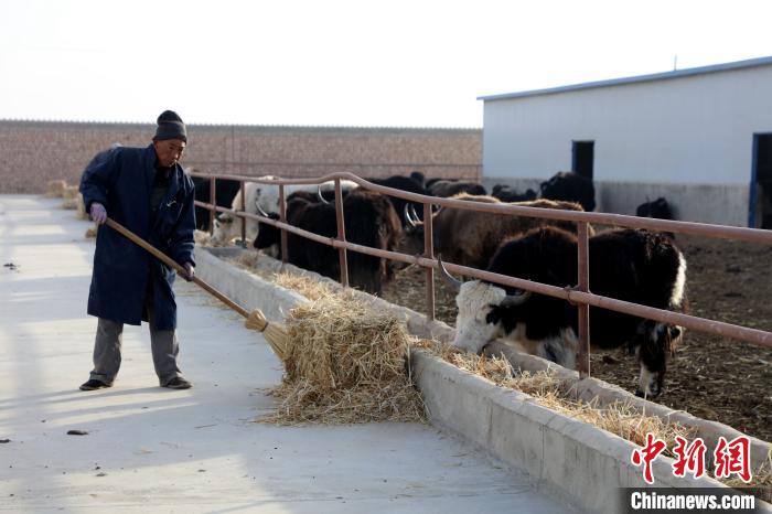 柴達木盆地蓮湖村：讓致富村民生活“?！逼饋?/></a></div>
                        <div   id=