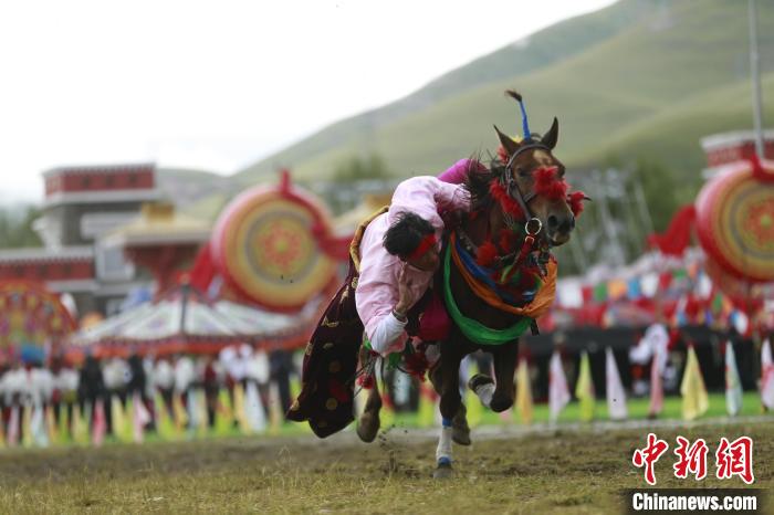 青海玉樹：70年，幸福生活如格桑花綻放